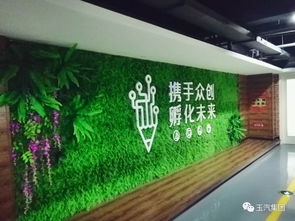 孵化創業夢想，引領科技未來——玉環市首家臺州市級科技孵化器開啟創業新篇章